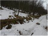 Povžane - Grmada at Slavnik